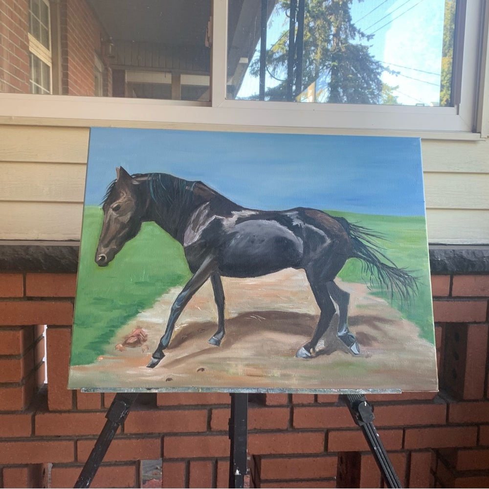 Black horse.
